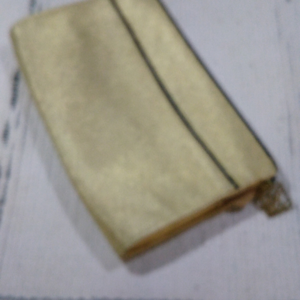 Purse or Make-up Bag